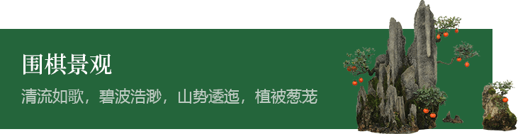 围棋源