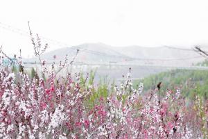 女神节 | 红旗渠故乡·万泉湖景区免门票啦！